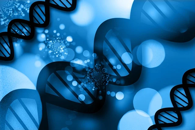 高效聚氨酯硬泡催化劑，確保泡沫快速固化，具有高閉孔率和優(yōu)異的保溫性能